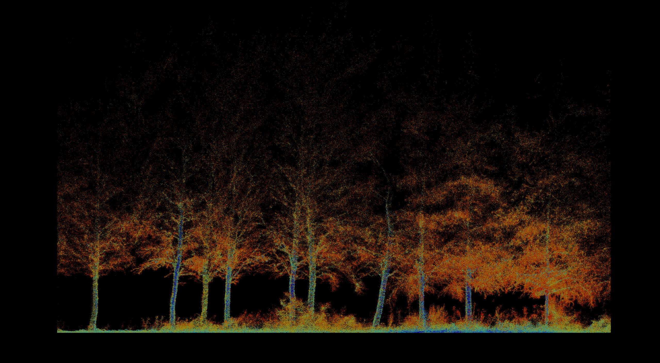 Forestry & Environmental Monitoring
