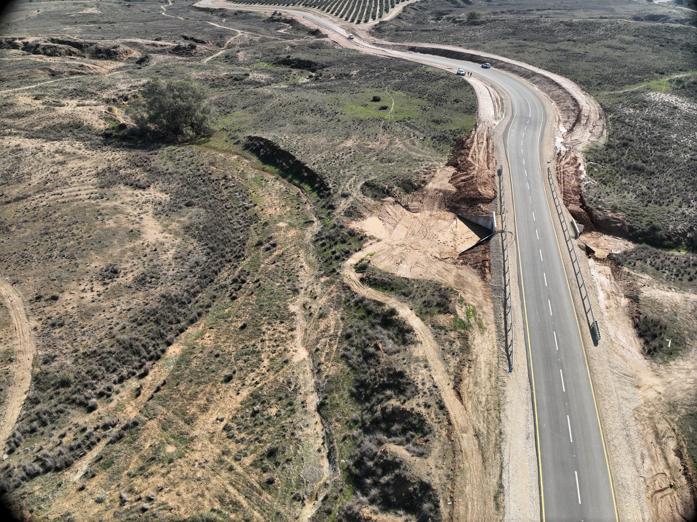 Makhtesh Be’eri: Monitoring a New Road’s Impact on a Nature Reserve