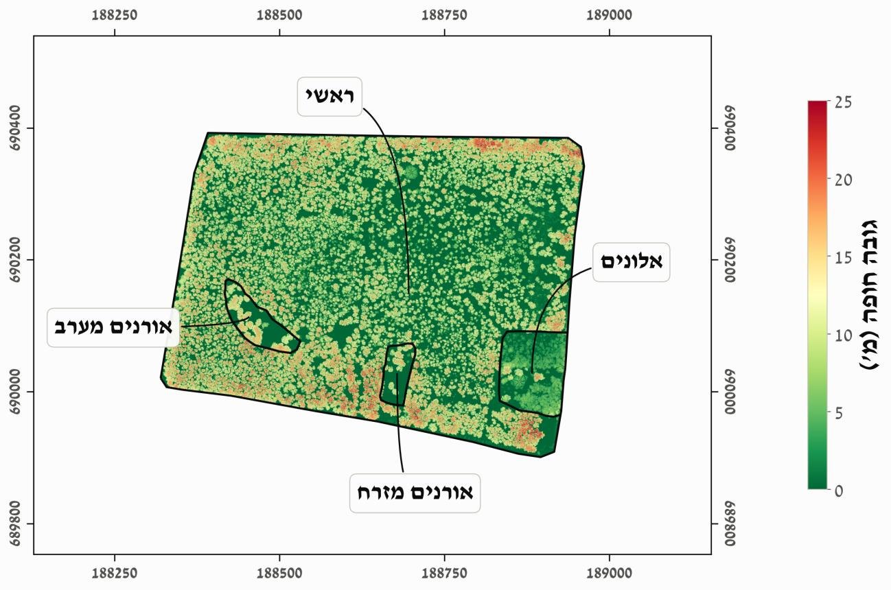 Canopy height map from drone LiDAR, Sergeants Grove